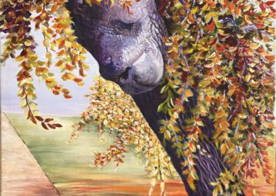 Le regard de l'arbre 1